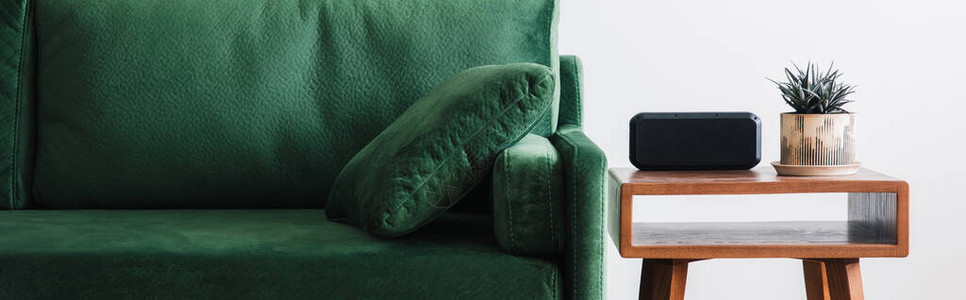 带枕头的绿色沙发和带植物和闹钟的木制咖啡桌的特写视图片