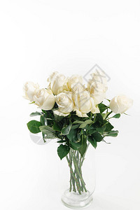 白色背景上华丽的白玫瑰花束背景图片