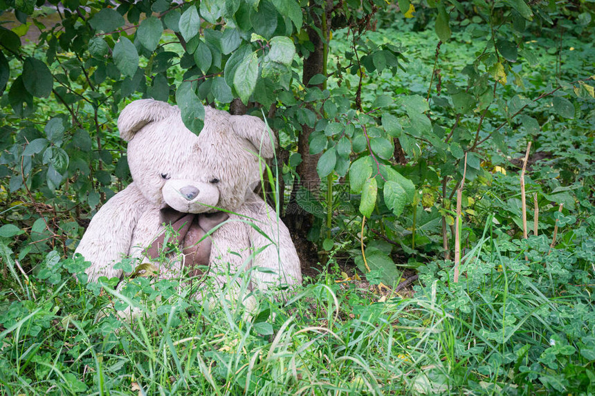 被遗弃的毛绒玩具熊在树下的院子里悲伤和放弃的象征孤独的概念国际失踪儿童图片