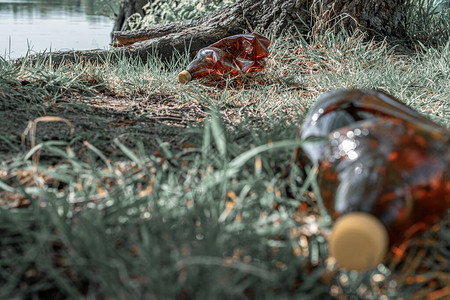 塑料瓶森林和环境中的垃圾在林地的垃圾拯救自然生图片