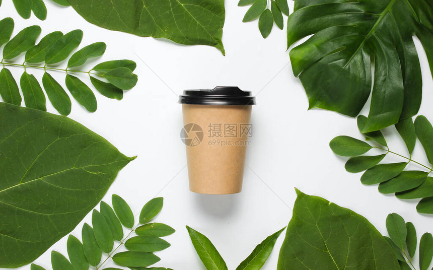 用绿色热带叶子白色背景的可处置手工艺纸板咖啡杯图片