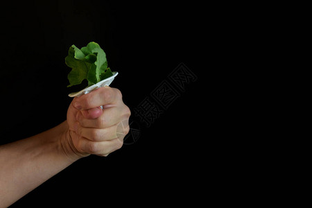 花的瓣或女幸福开始花释图片