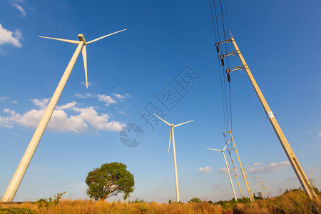 风电场上的风力涡轮机与电杆图片