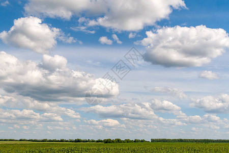美丽的白云在夏日绿地的视野中蔓延图片