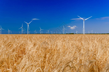 风力涡轮机在田间发电生态动力生态和图片