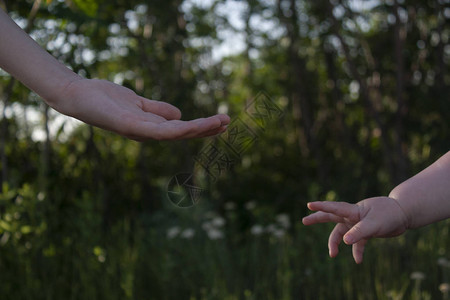 两个孩子的手掌在绿树和鲜花的背景上小孩子的手伸向更大的手两个孩子图片