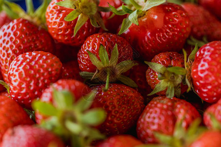 红色新鲜草莓农场的详细宏观拍摄背景图片