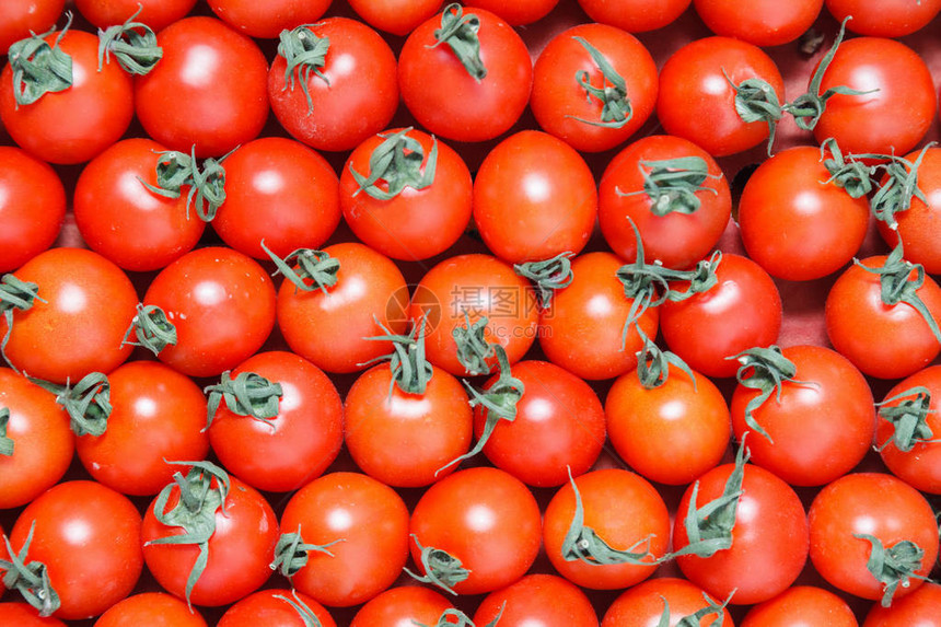 特写大量红色新鲜成熟的樱桃番茄与茎一起在农贸市场的盒子里等待分发在超市杂货店图片