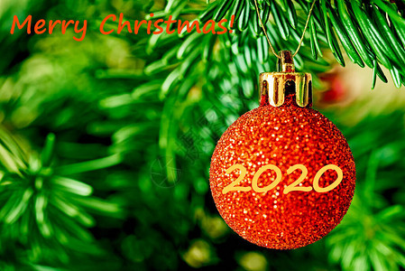 一个闪亮的红球紧贴在绿色花绿树枝上为圣诞节图片