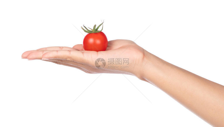 手心里的西红柿图片