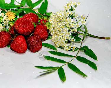 带白花的草莓黄花朵绿叶子白图片