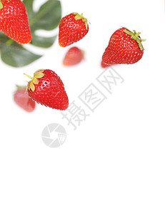 白色背景上的草莓和龟背竹叶图片