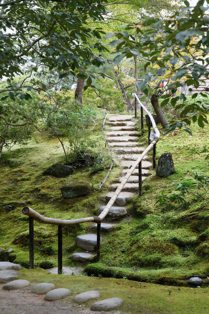 在日本林山的一个美丽的日本花园中图片