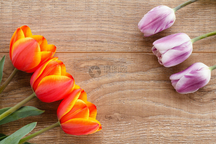 木板上的郁金香图片