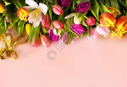 郁金香五颜六色的花朵节日花束卉情人节或妇女节粉红色背景祝福爱情语录图片