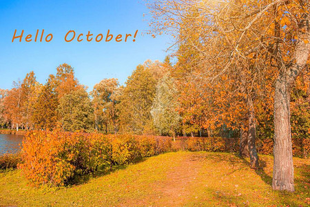 你好十月新的一个月与文本的秋天风景明信片问候秋天黄色的树和草图片