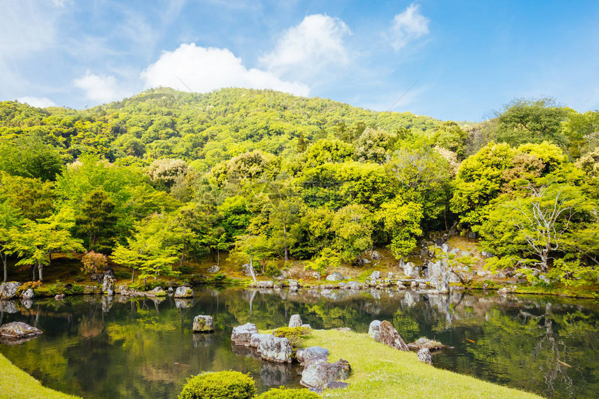 在日本京都林山的暖春图片