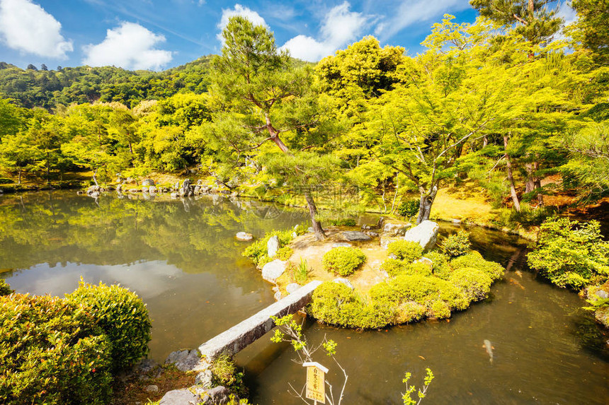 在日本京都林山的暖春图片