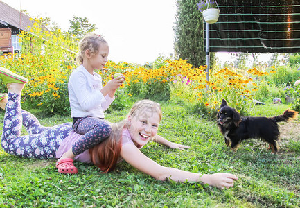 两个可爱的小女孩躺在绿草野外和小黑狗在农村院子里玩背景图片