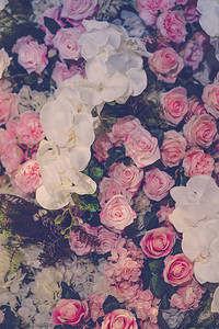 用于情人节和婚礼场景的美丽花朵经过滤图像处理图片