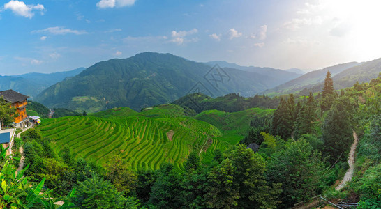 广西桂林北部村龙脊梯田组成的龙脊梯田七星全景图片