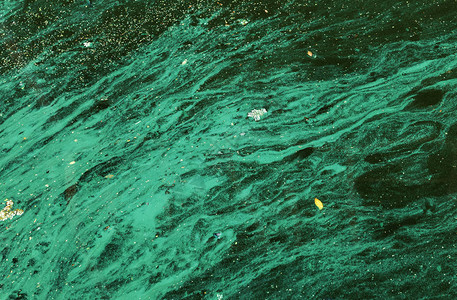 自然背景藻类污染了水面上的绿藻水表面图片