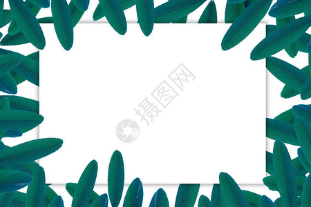 热带绿色树叶纹理背景附图片