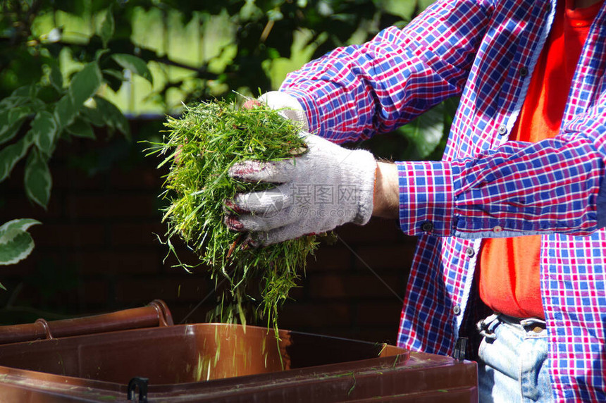 绿色垃圾分类园丁将绿色干草扔进生物回收棕色垃圾桶家庭花园图片