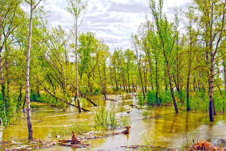 春天的洪水河水泛滥树木倒塌图片