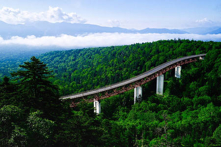 夏季北海道的mik图片