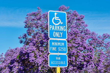 标示无障碍停车位最小罚款警告标志室外停车场背景中盛图片