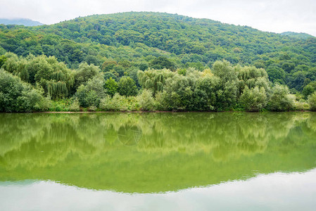 宁静河岸绿色的美丽自然风景和美图片