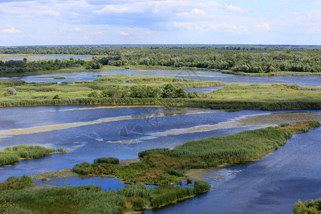 乌克兰三角河上漂浮河流和绿色岛屿的图片