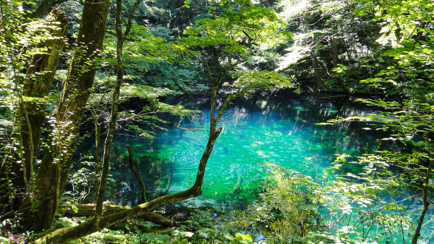 白海三井山区十二大湖纯子Juniko12Lakes图片