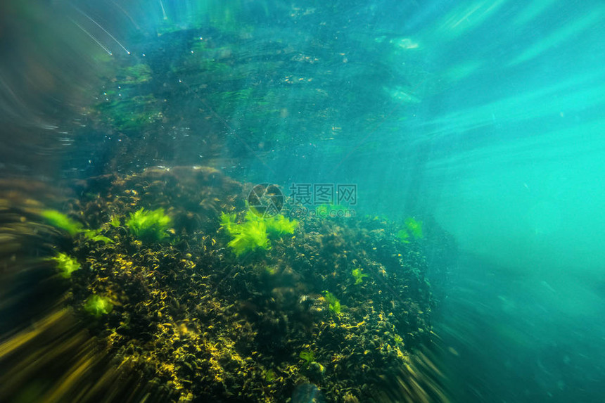水下礁石海底全景黑图片