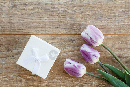 郁金香和白色礼物盒图片