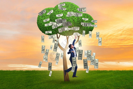 在经营理念中拥有金钱树的商人背景图片