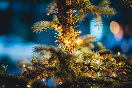 关闭圣诞树灯和装饰节日背景的观景图片