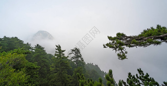 从小径到陕西省著名旅游胜地华山鼓舞人心神圣而雄伟的背景图片