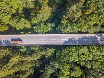 通过瑞士稠密的绿林对公路桥梁背景图片