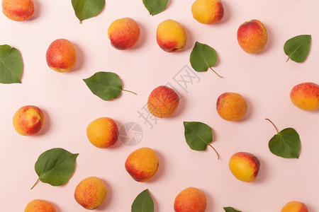 粉红背景的杏子成熟的杏子和叶图片