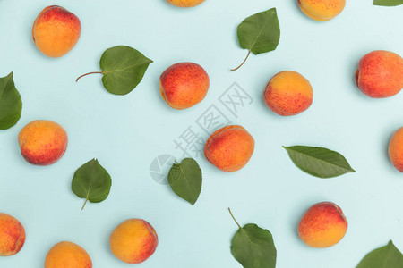蓝色背景的杏子成熟的杏子和叶图片