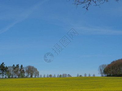 德国明斯特的春天背景图片