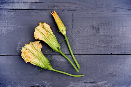 灰色仿古桌上的南瓜花食用花卉概念南瓜花蕾作为高级烹饪原料园图片