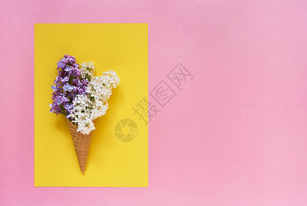 黄色粉背景的华夫饼冰淇淋锥花朵图片