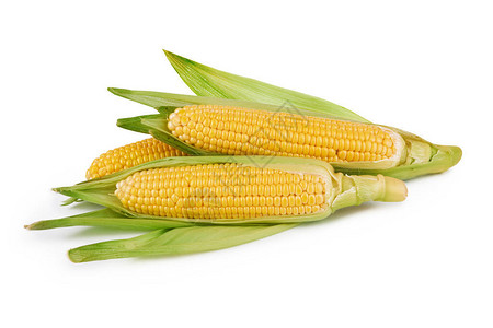 新鲜的玉米蔬菜图片