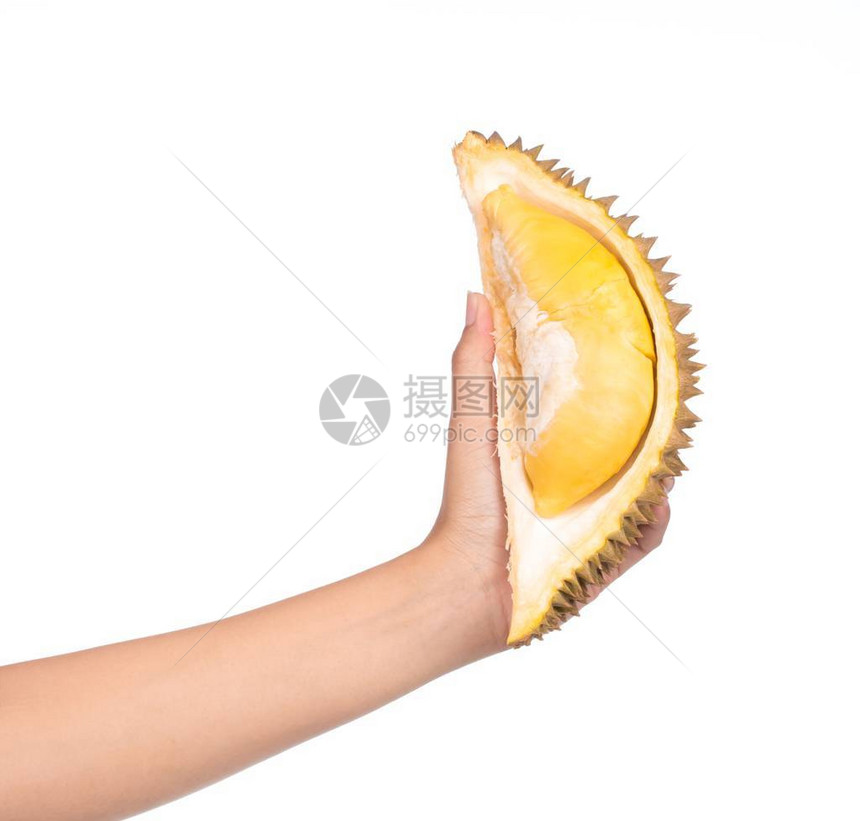 手握着一部分Durian水果孤立图片