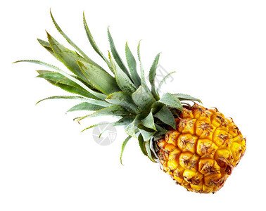 成熟的菠萝被隔离在白色背景上背景图片