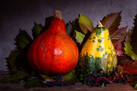 秋季装饰南瓜和图片