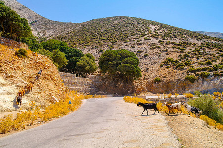 希腊山区蜿蜒的道路图片